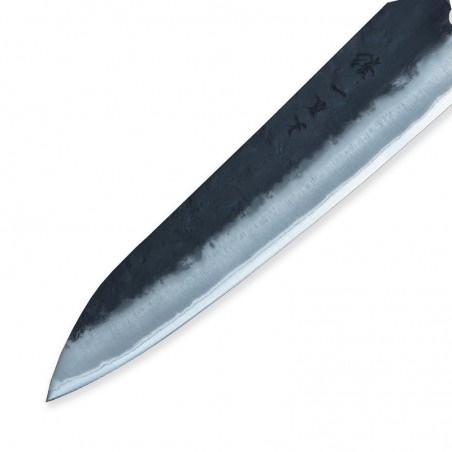 HOKIYAMA nůž Chef / Gyuto 210 mm - Tosa-Ichi Shadow