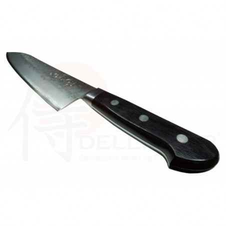 HOKIYAMA nůž Gyuto (Chef) 210 mm - Sakon Ginga