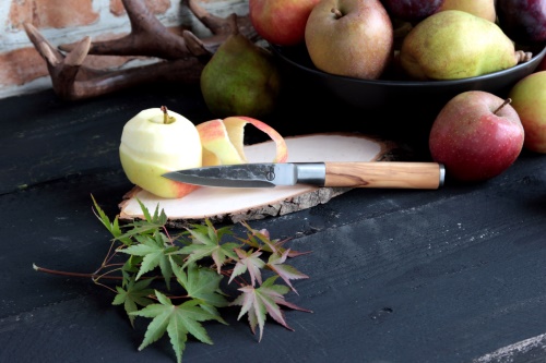 FORGED Olive nůž na ovoce a zeleninu 8,5 cm